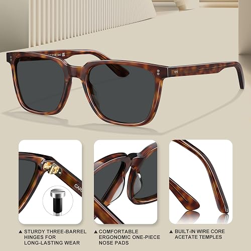 Persol Unisex Po3393s Guido Square Sunglasses
