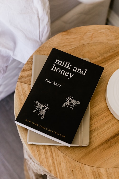 Bestseller Novel